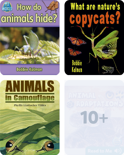 Animal Adaptations Children's Book Collection | Discover Epic Children's  Books, Audiobooks, Videos & More