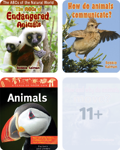 Animal books Children's Book Collection | Discover Epic Children's Books,  Audiobooks, Videos & More