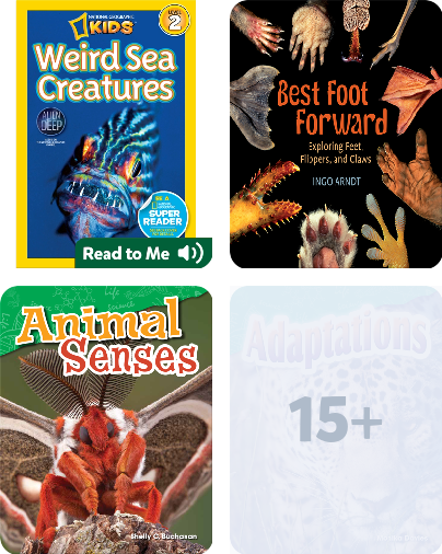 Animal Adaptation - Grade 3 Children's Book Collection | Discover Epic  Children's Books, Audiobooks, Videos & More
