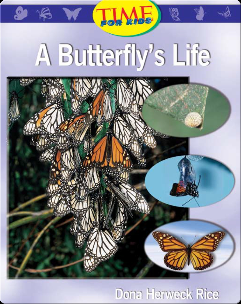 A Butterfly's Life Book by Dona Herweck Rice | Epic