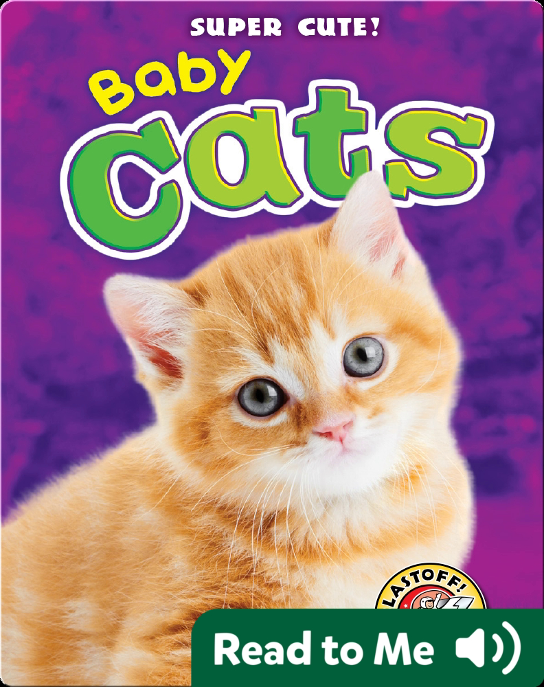 Super Cute! Baby Cats Book by Bethany Olson