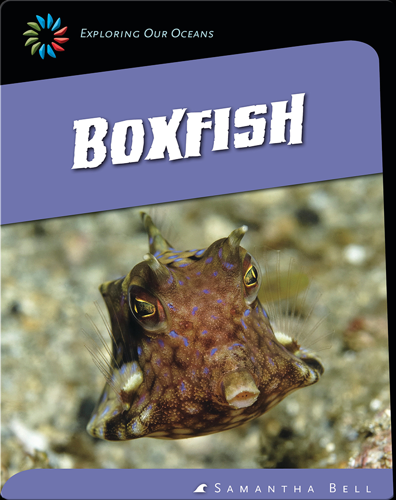 Boxfish Book by Samantha Bell | Epic