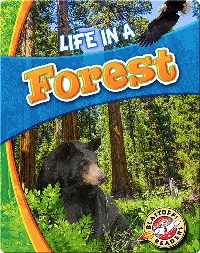 Biomes Alive!: Life in a Forest