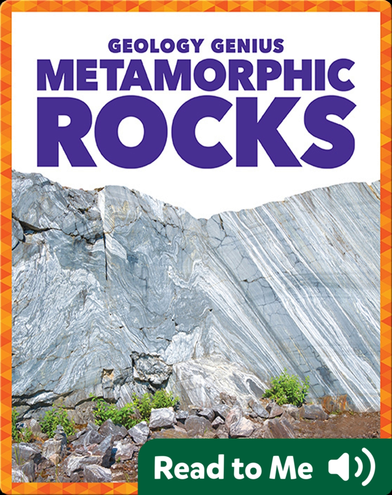 Metamorphic Rocks Book by Rebecca Pettiford Epic