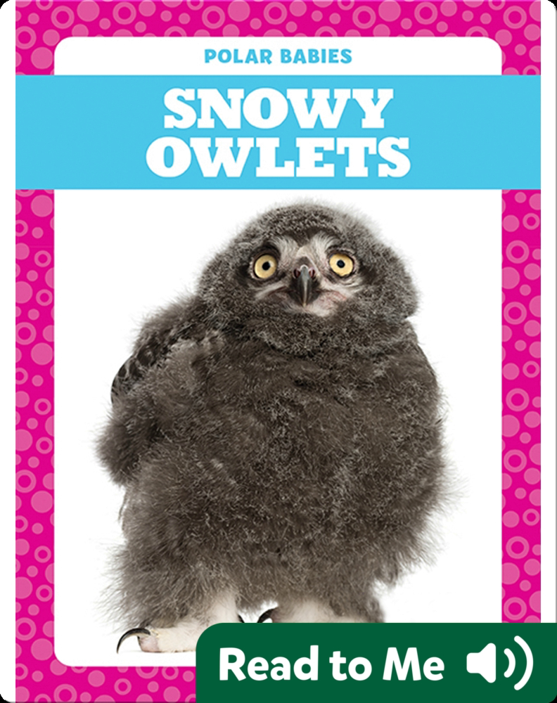 Polar Babies: Snowy Owlets Book by Genevieve Nilsen | Epic