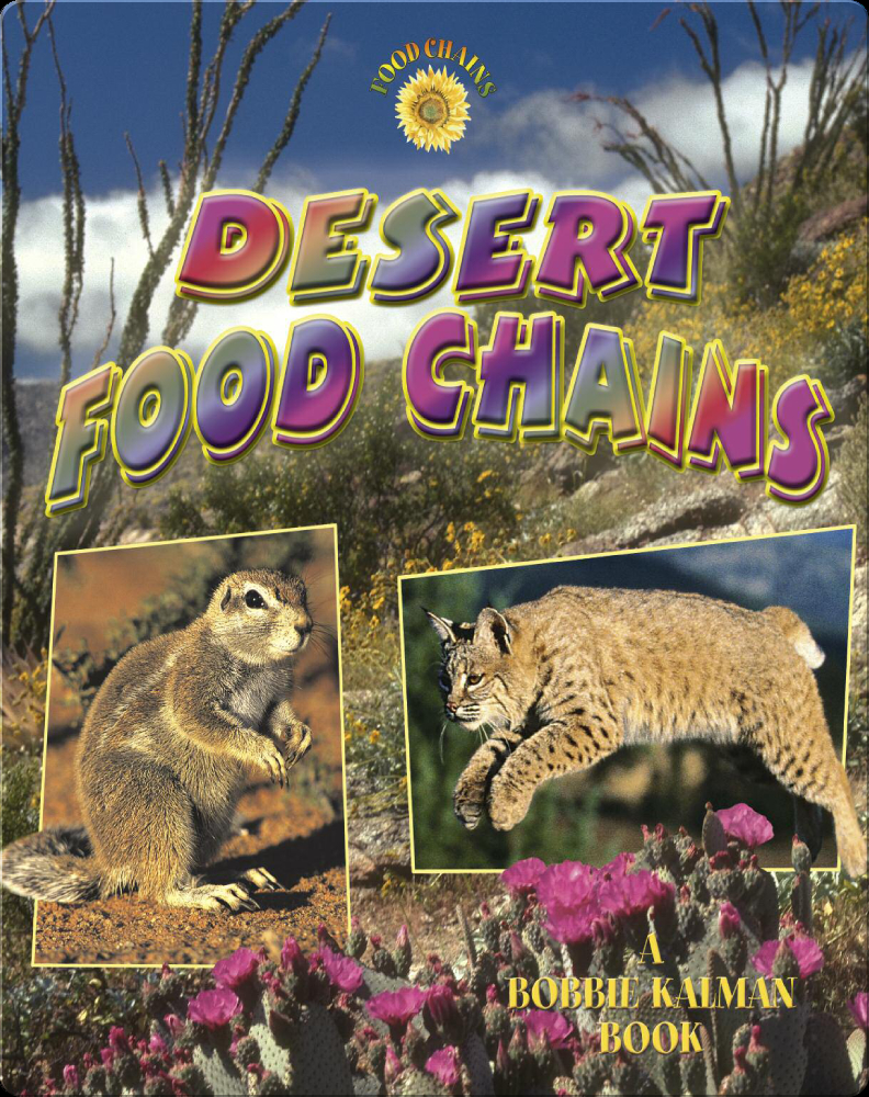 Desert Food Chains Book by Bobbie Kalman, Kelley Macaulay | Epic