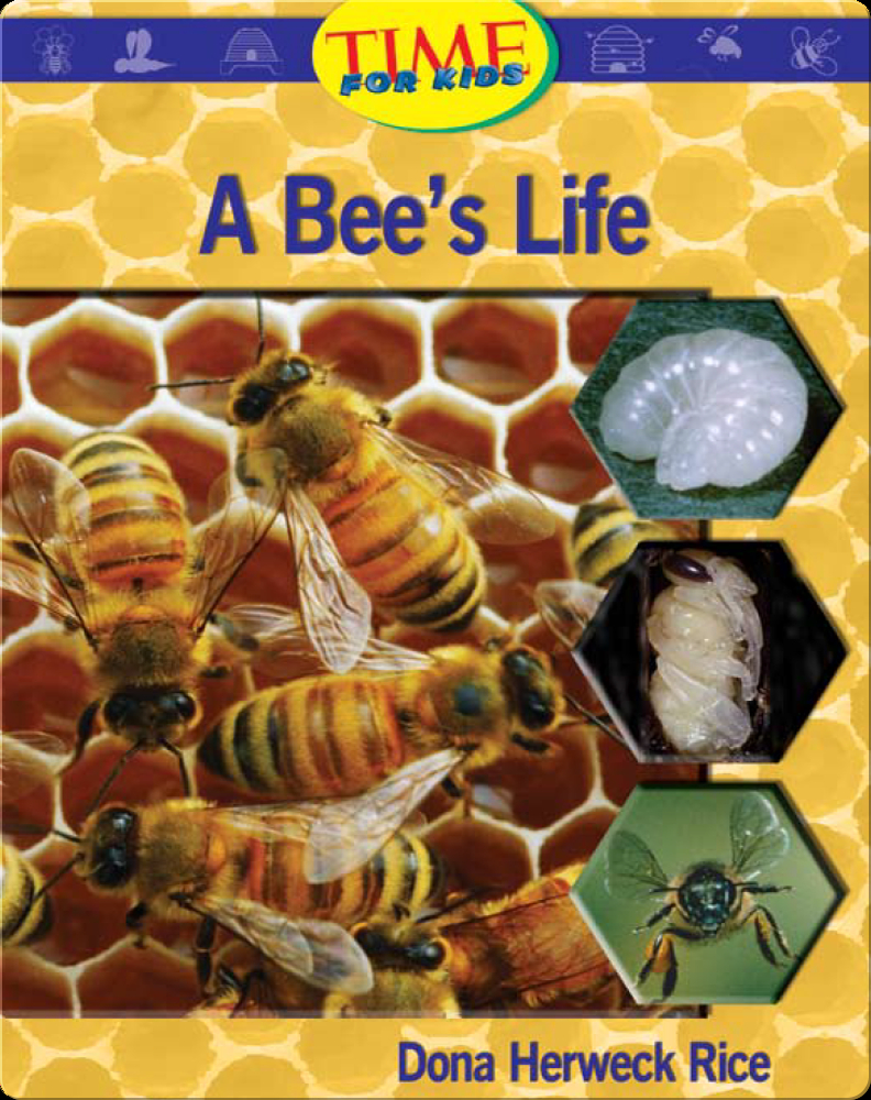 A Bee's Life Book by Dona Herweck Rice | Epic