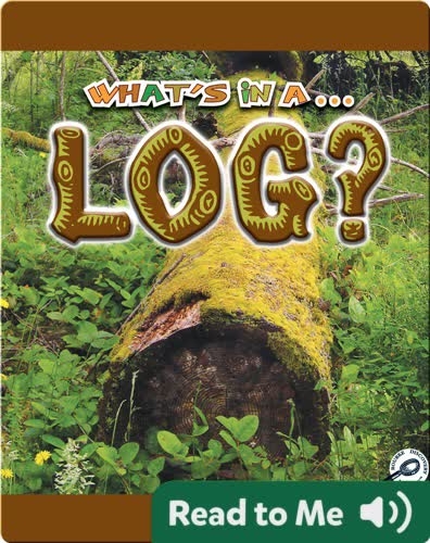 What's In A... Log?