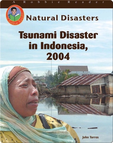 Tsunami Disaster in Indonesia, 2004