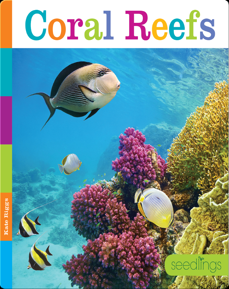 Coral Reefs Book by Kate Riggs | Epic