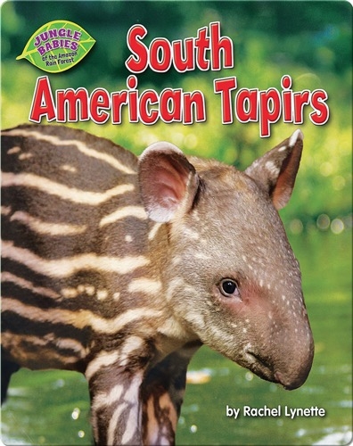 South American Tapirs