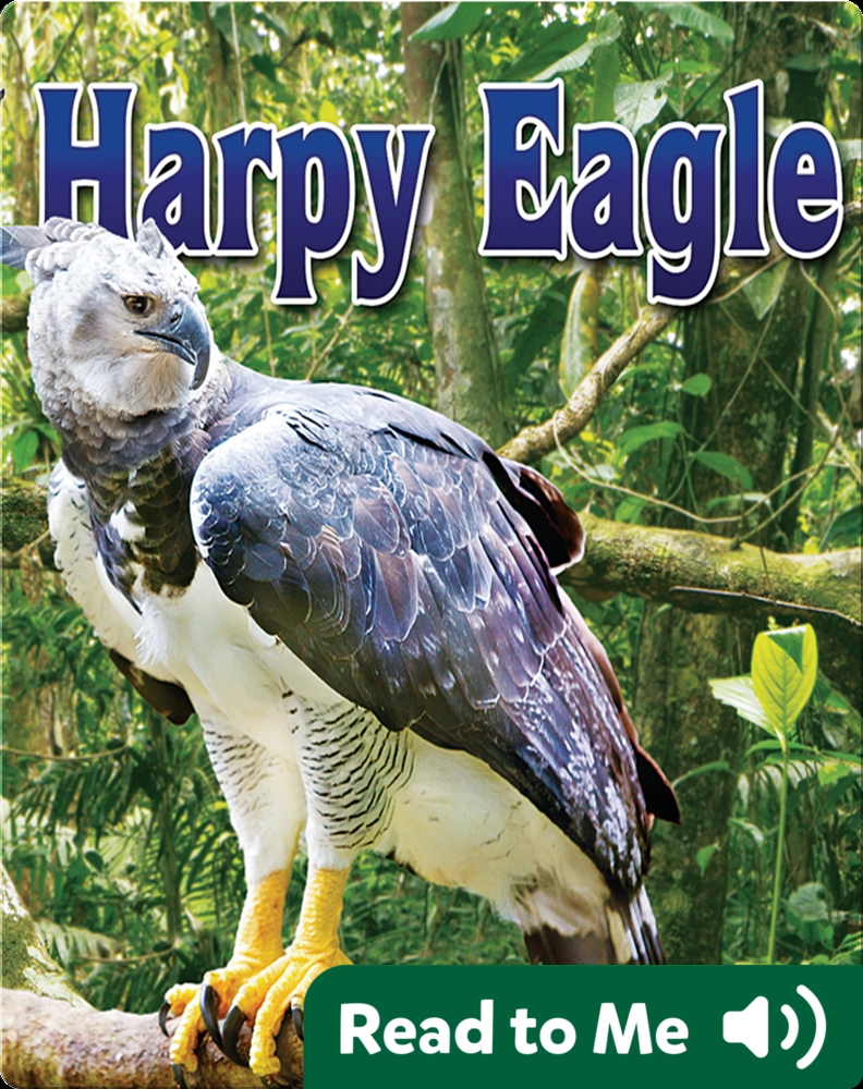 Harpy Eagle Book by Ellen Lawrence