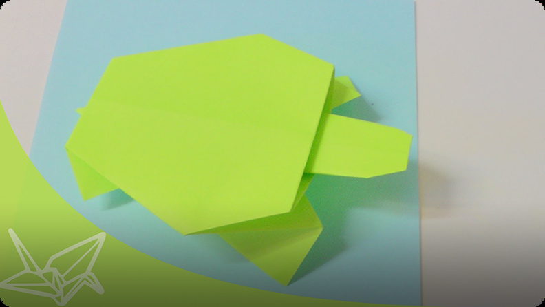 Origami Turtle Video | Discover Fun and Educational Videos That Kids ...