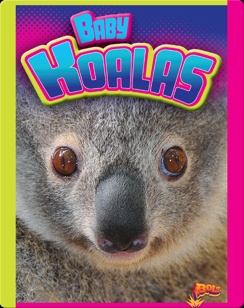 baby koalas book