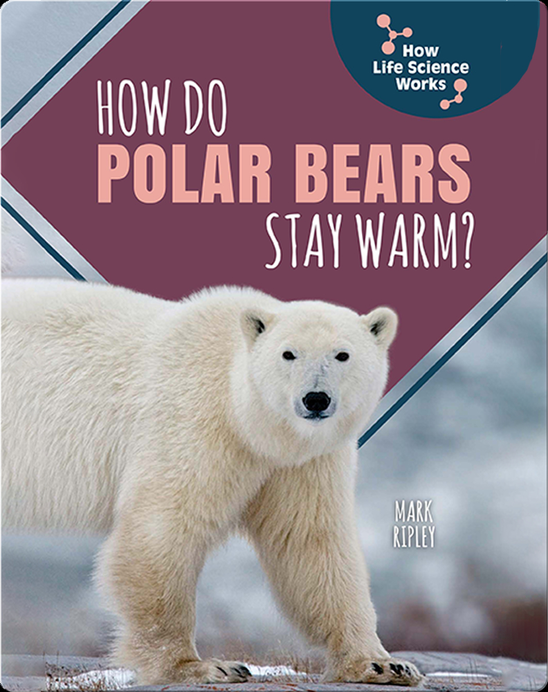 How Do Polar Bears Stay Warm? Book by Mark Ripley Epic