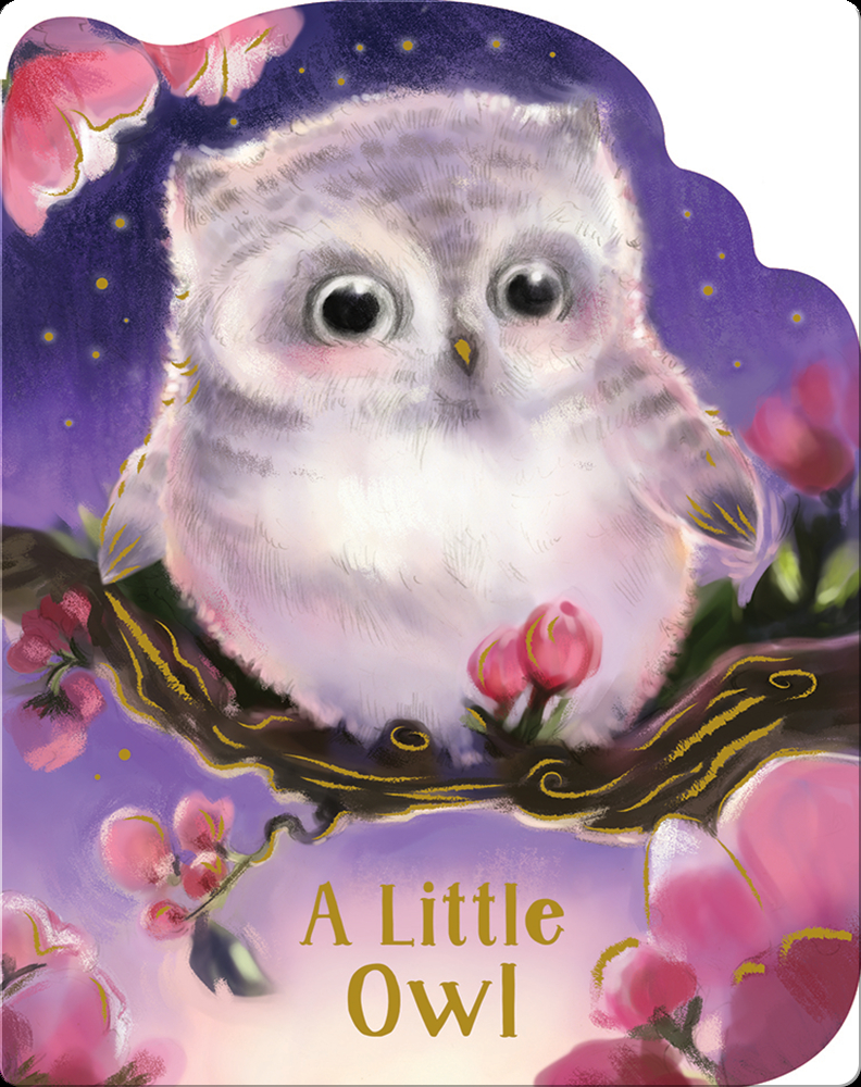 A Little Owl Book by Rosalee Wren | Epic