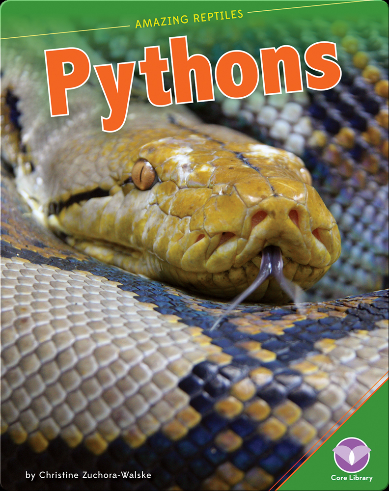 Amazing Reptiles: Pythons Book by Christine Zuchora-Walske | Epic