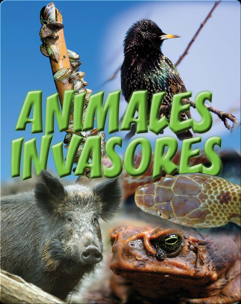 Animales Invasores Book by manda Doering Tourville | Epic