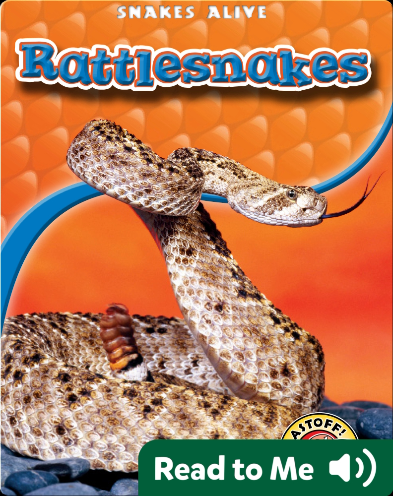 RATTLESNAKES STEPHEN KING SUMMARY visual data 8