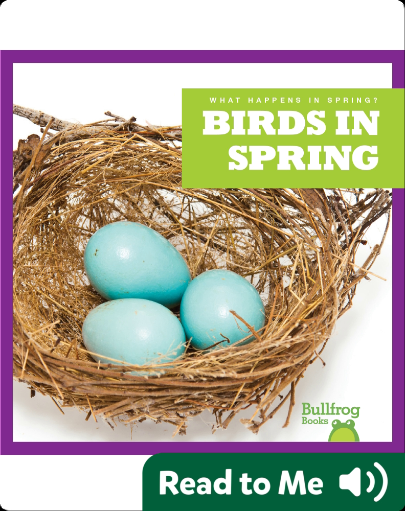 What Happens In Spring? Birds In Spring Book by Jenny Fretland ...