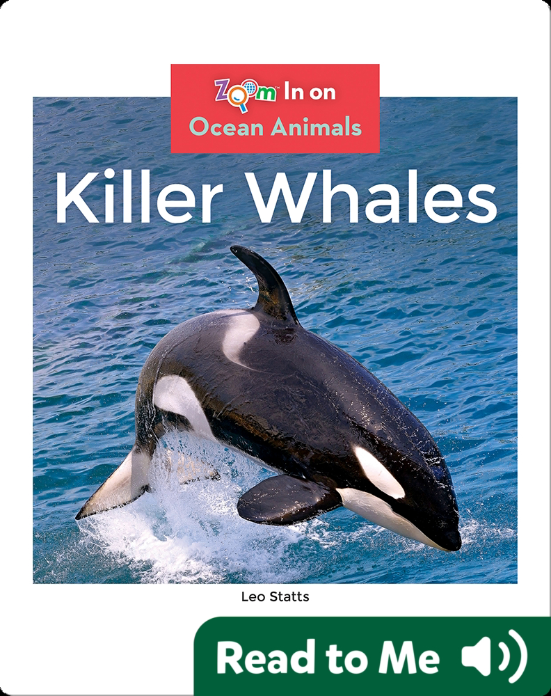 Killer Whales Book by Leo Statts | Epic