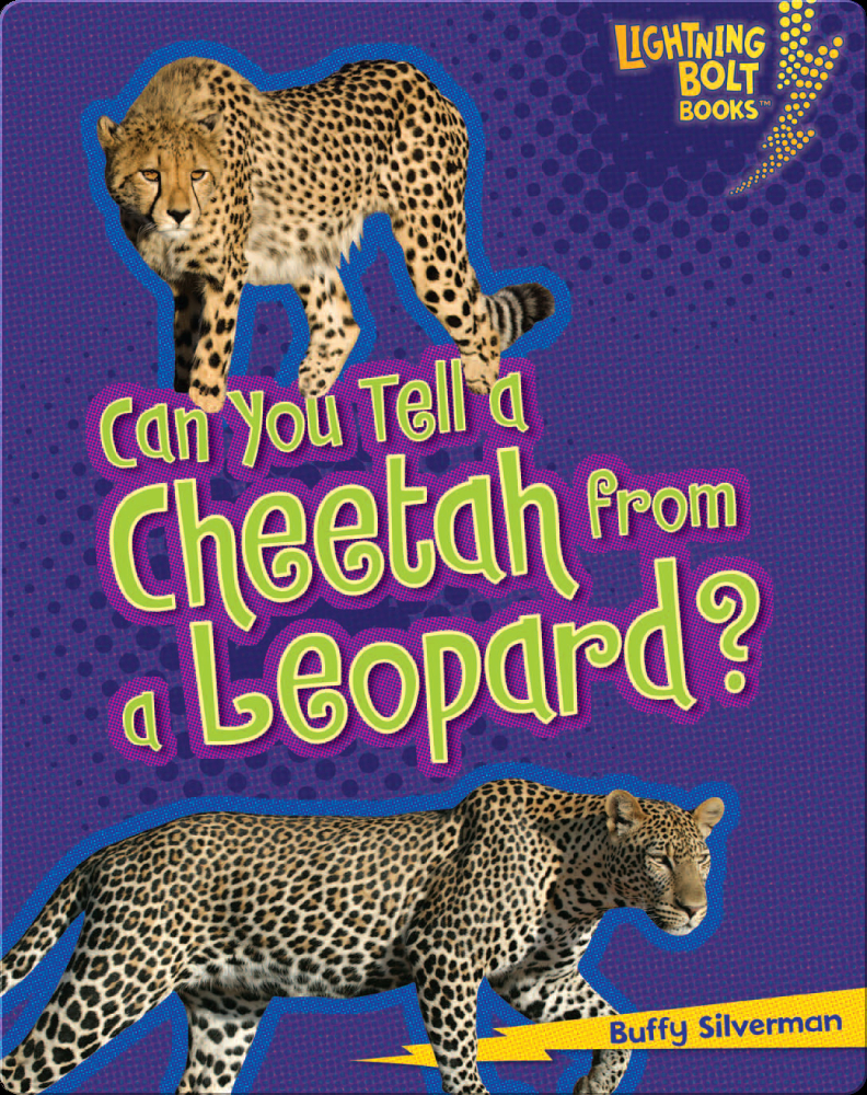 Can you Tell a Cheetah from a Leopard? Book by Buffy Silverman | Epic