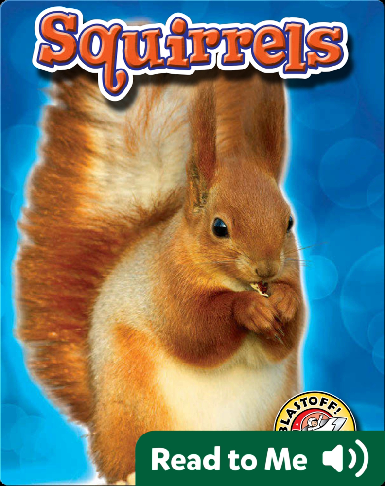 Squirrels: Backyard Wildlife Book by Derek Zobel | Epic