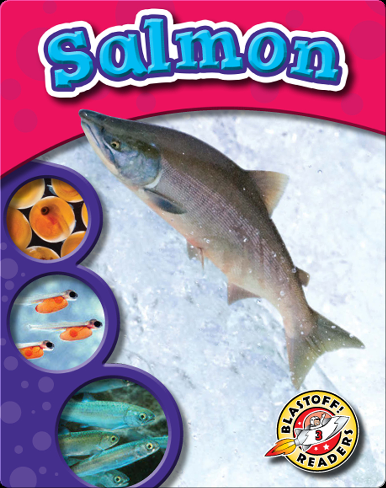 The Life Cycle of a Salmon Book by Colleen Sexton