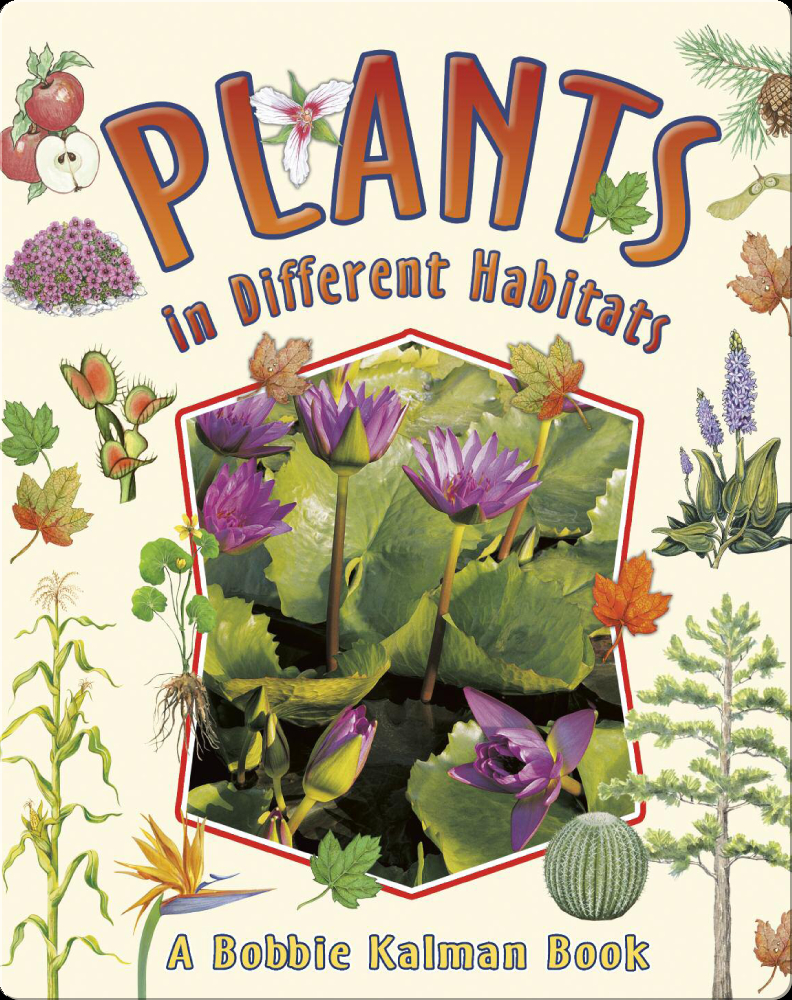 Plants in Different Habitats Book by Bobbie Kalman, Rebecca Sjonger Epic
