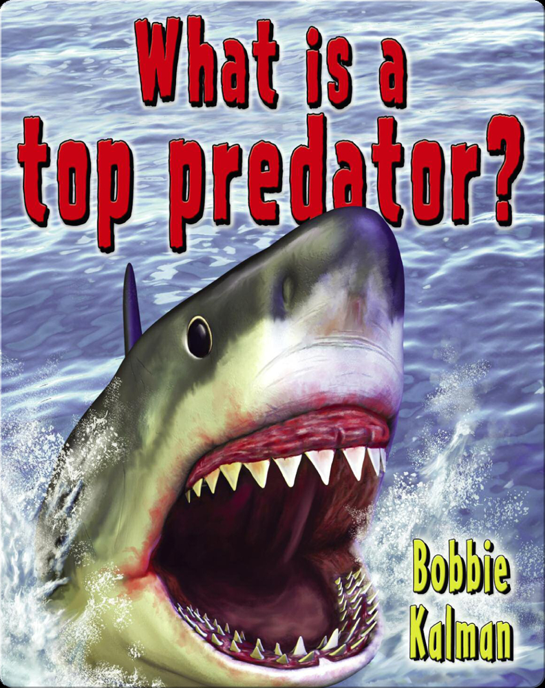 What is a Top Predator? Book by Bobbie Kalman Epic