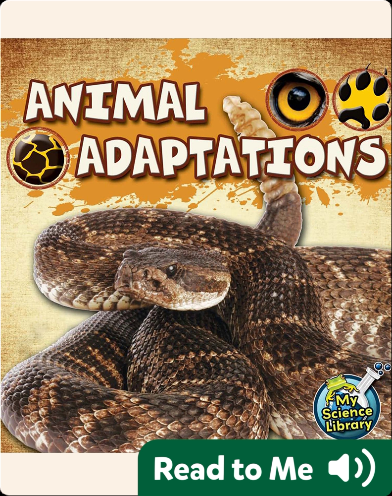 Animal Adaptations Book by Julie Lundgren | Epic