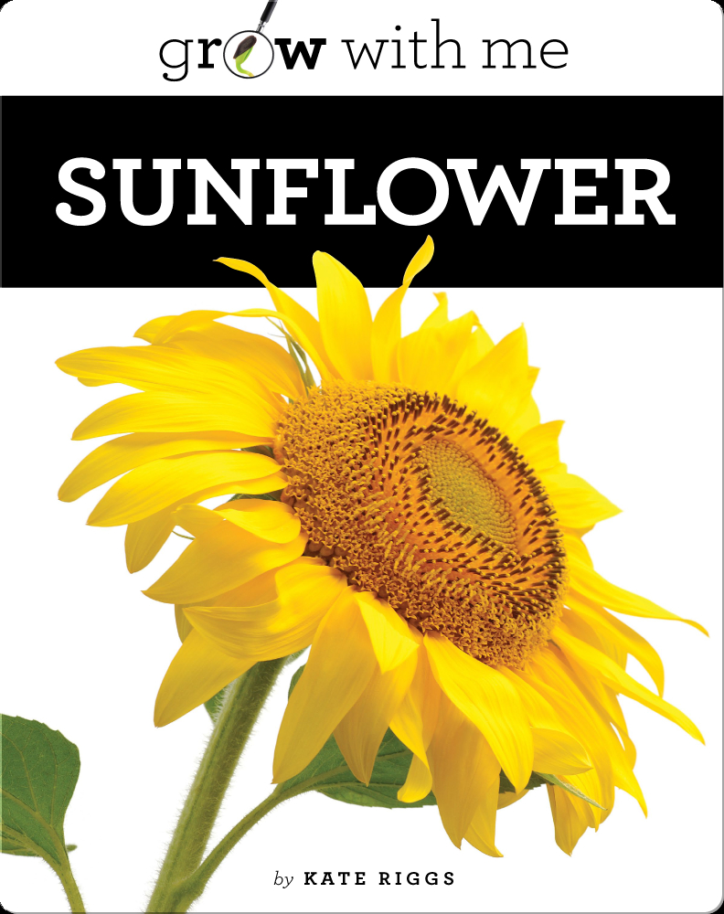 Sunflower Book by Kate Riggs Epic