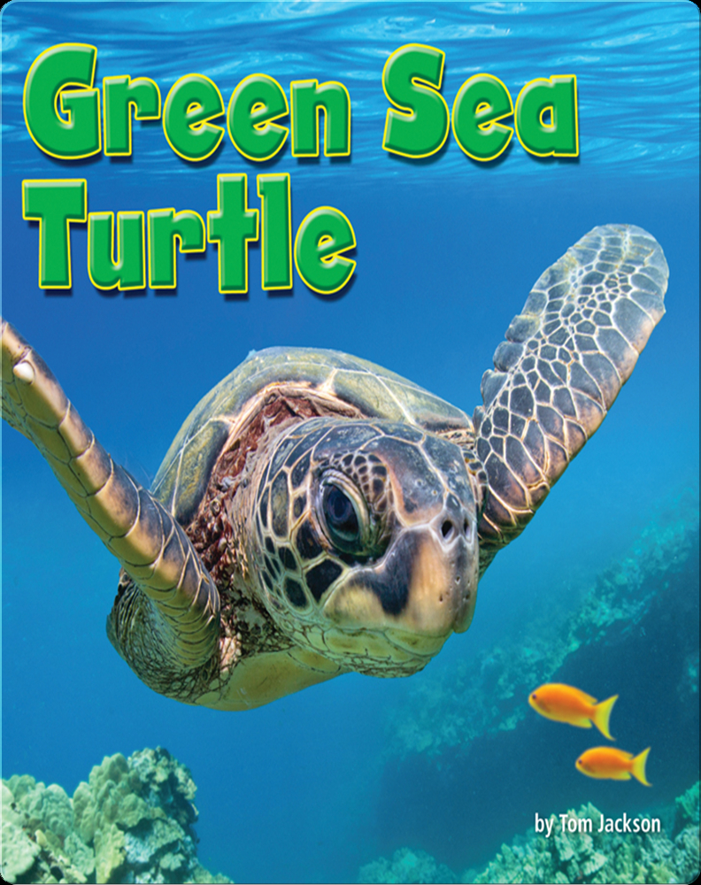 Green Sea Turtle Book by Tom Jackson | Epic