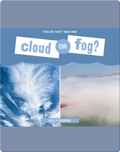 Cloud or Fog?