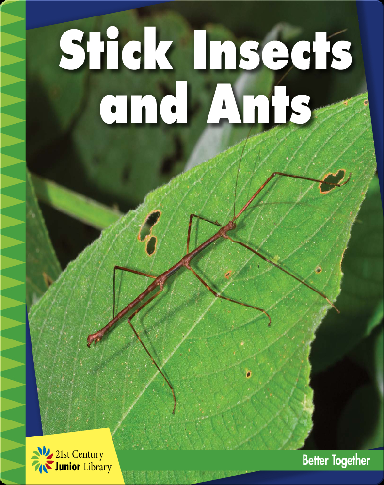 Stick Insects and Ants Book by Kevin Cunningham