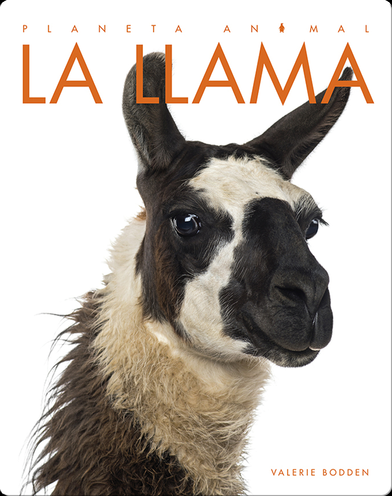 La rana (Planeta animal): Bodden, Valerie: 9781682772478