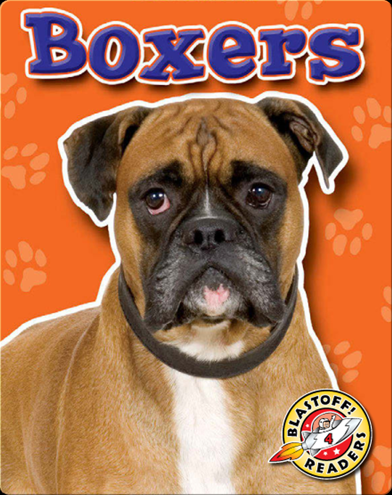 Boxer Breed: 5 Ultimate Secrets of the Boxer Breed