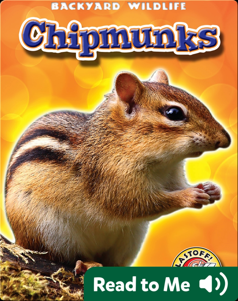 Chipmunks: Backyard Wildlife Book by Derek Zobel | Epic