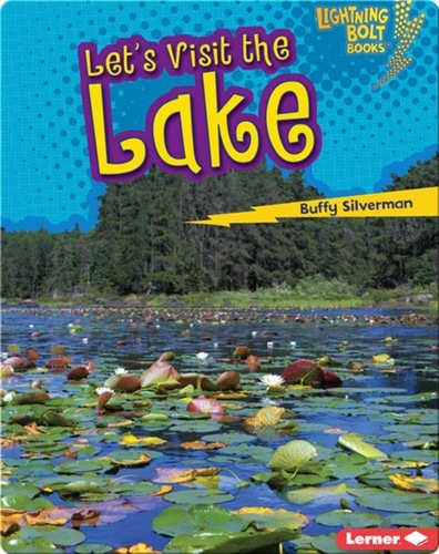 Let's Visit the Lake
