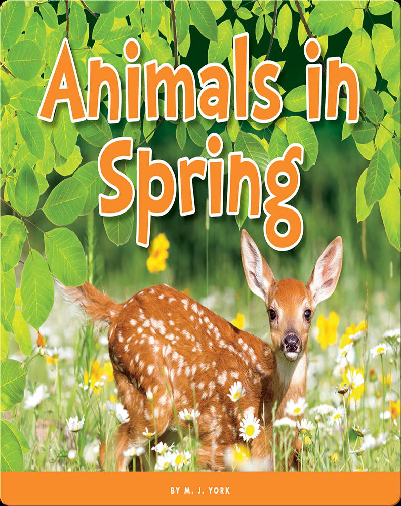 Animals in Spring Book by M. J. York | Epic