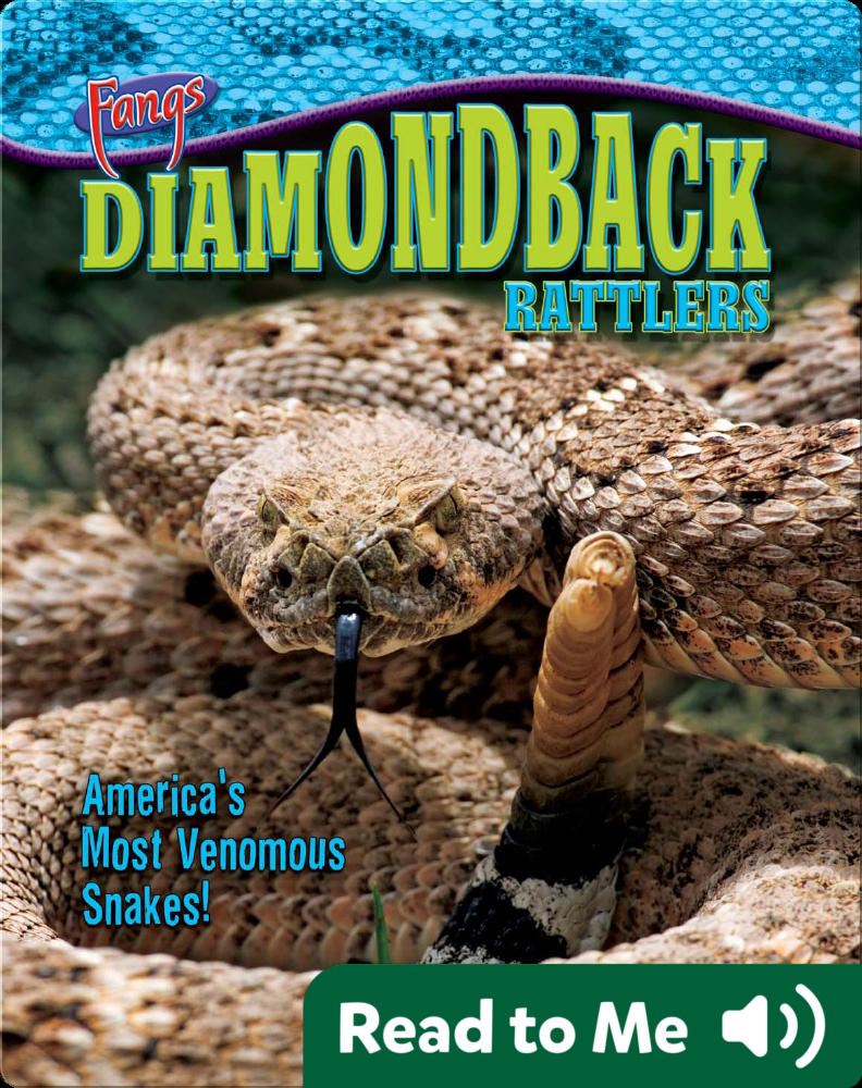 Book Rattle Snakes Diamondback Rattlers: America's Most Venomous Snakes! Book by Nancy ...