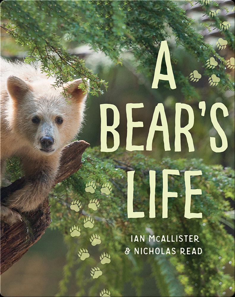 A Bear's Life Book by Nicolas Read