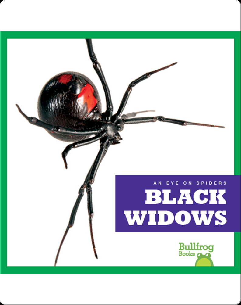 Black Widow Spiders  National Geographic