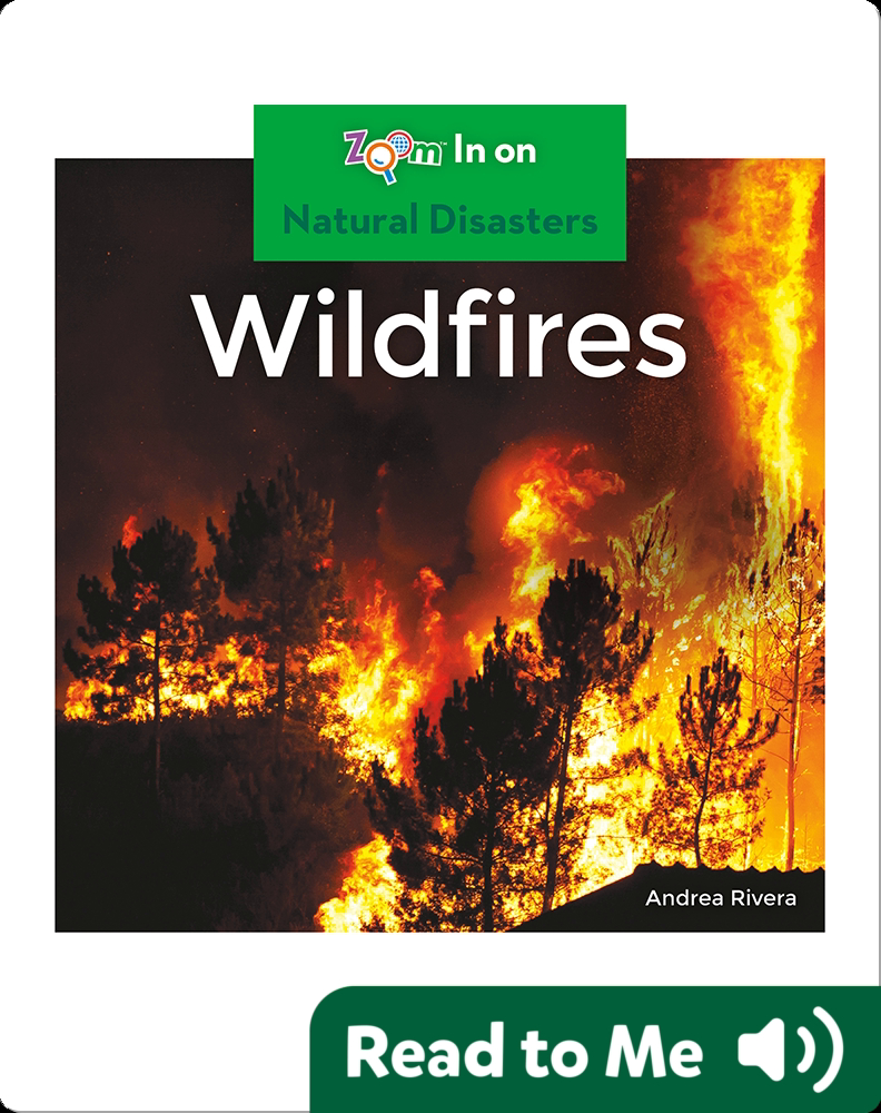 Wildfires Book by Andrea Rivera | Epic