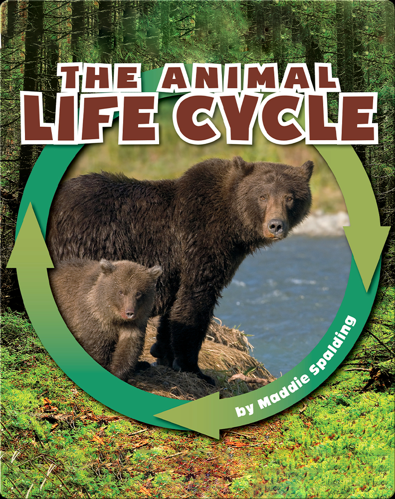 The Animal Life Cycle Book by Maddie Spalding Epic