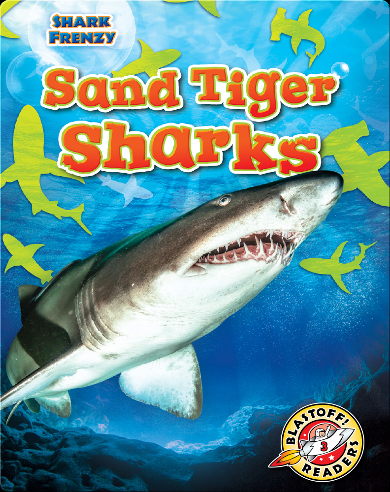 Sand Tiger Shark  National Geographic