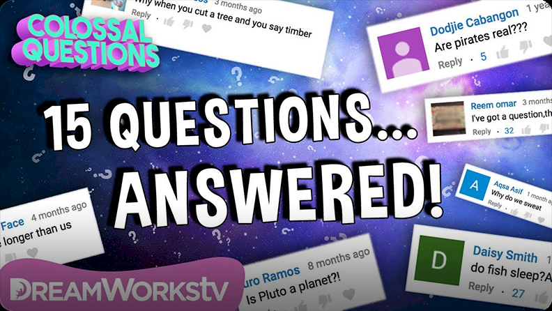 Colossal Questions 15 Quick Questions Answered Video Discover Fun