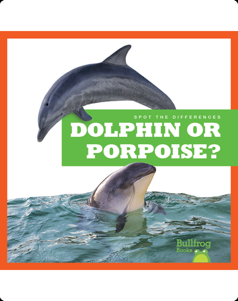 Spot the Differences: Dolphin or Porpoise? Book by Jamie Rice | Epic