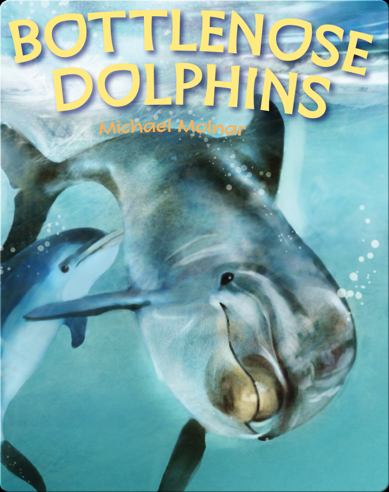 Bottlenose Dolphins Book by Michael Molnar | Epic