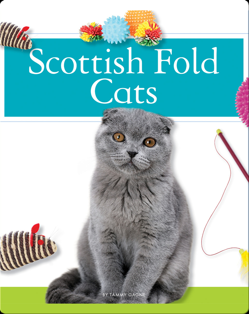 Scottish Fold Cats Book by Tammy Gagne | Epic